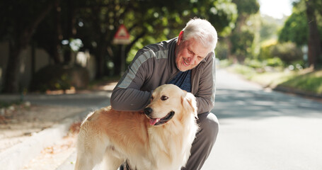 Happy, park and senior man with dog for fresh air, walking and exercise together for animal care. Retirement, morning and elderly person with Golden Retriever outdoor for wellness, health and bonding