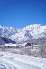 雪景色の白馬村と北アルプス