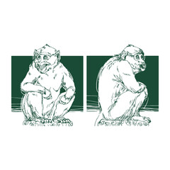 Balinese monkey sketch vector line art