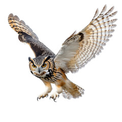 Fototapeta premium A majestic owl in mid-flight. its impressive wingspan and striking features against a clean white background. perfect for wildlife photography and educational materials