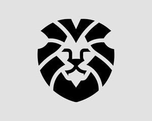 skull and crossbones icon