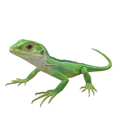 Fototapeta premium A green lizard poised on a smooth surface. its detailed scales and sharp features. with a soft white background emphasizing its natural beauty and potential as a wildlife stock image