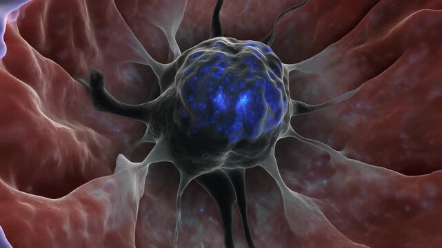 3D Medical Visualization of Human Locus Coeruleus Neuron