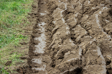 Freshly plowed agricultural field with deep tire tracks in rich brown soil, surrounded by vibrant green grass, showcasing the farming process and land preparation for planting crops