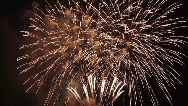 Vibrant fireworks explode in night sky creating joyful festive atmosphere with colorful sparks