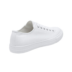Simple white canvas sneaker on a grey background