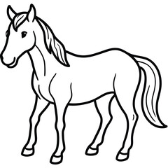 horse vector illustration