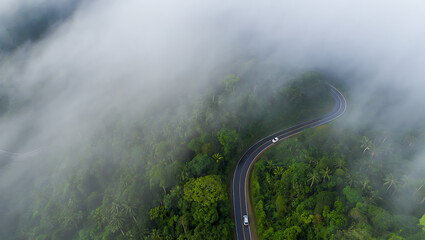 Drone View of Misty Winding Road with Cars in Lush Tropical Rainforest Foggy Forest Landscape