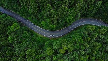 Aerial Drone View of Winding Asphalt Road with Car Through Dense Green Forest Top Down Perspective
