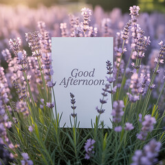 Warm Afternoon Greeting Amidst Fragrant Lavender Blooms
