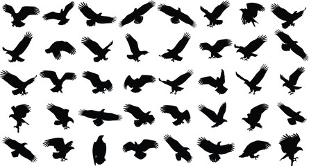 Eagle silhouette vector set, flying eagle poses, perched eagle clipart, bird of prey illustration, wildlife graphic, black eagle icons