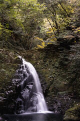 三重-【赤目四十八滝（紅葉）】
