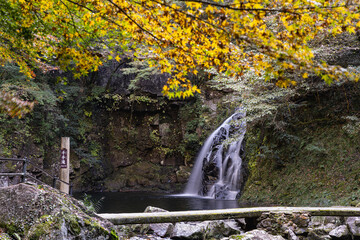 三重-【赤目四十八滝（紅葉）】