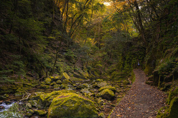 三重-【赤目四十八滝（紅葉）】