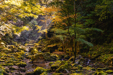 三重-【赤目四十八滝（紅葉）】