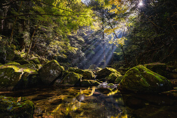 三重-【赤目四十八滝（紅葉）】