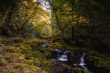 三重-【赤目四十八滝（紅葉）】