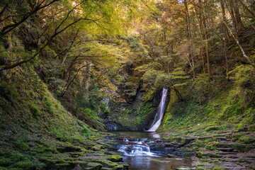 三重-【赤目四十八滝（紅葉）】