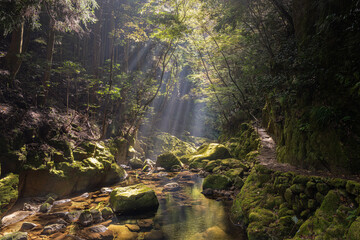 三重-【赤目四十八滝（紅葉）】