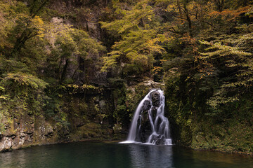 三重-【赤目四十八滝（紅葉）】