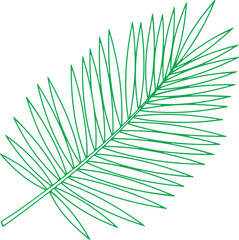 Fototapeta premium Tropical palm leaf branch in green line art style, exotic botanical illustration for summer or tropical design.