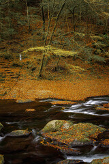 熊本-【菊池渓谷の紅葉】