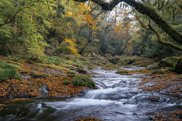 熊本-【菊池渓谷の紅葉】