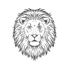 Lion head vector illustration, isolated wild animal face with mane for tattoo, mascot, or predator art