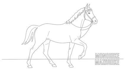 Line art horse illustration elegant equestrian animal in motion simple vector drawing for design