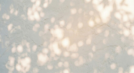 White plaster wall texture with dappled tree sunlight shadow