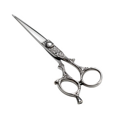 Hair Cutting Shears