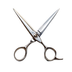 Hair Cutting Shears