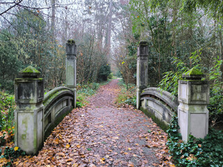 moss covered bridge over stream