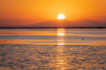 佐賀－【鹿島市から見た有明海の夕景】