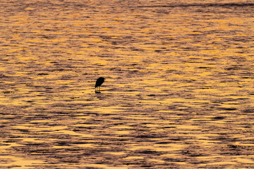 佐賀－【鹿島市から見た有明海の夕景】