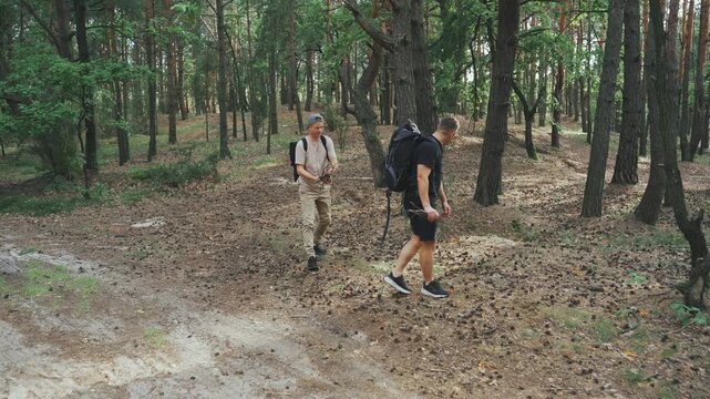 Two white men gathering sticks and kindling along sandy forest path, one bending to collect wood while partner walks ahead, backpacks and light gear visible, practical preparation during summer hike