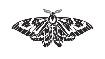 Detailed Black and White Moth Illustration with Intricate Wing Patterns.
