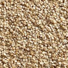 Fototapeta premium (Quinoa) food grain texture, seamless
