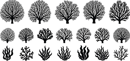 Collection of tree and coral silhouettes, nature botanical shapes, black organic illustrations isolated on white background for design use