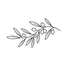 vector illustration of a leaf, botanical line art leaf design, wild flowers line art, boho style plants