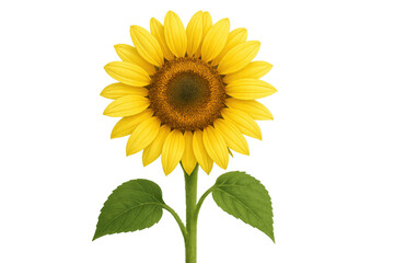 Fototapeta premium Bright yellow sunflower standing tall with green leaves, symbolizing summer, nature, and happiness, on a transparent background