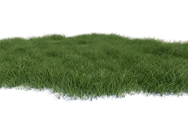 Fototapeta premium Patch of green grass isolated