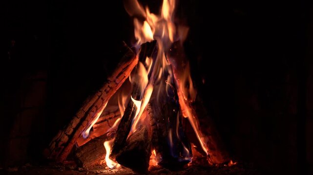 The fire, made of firewood, burns and blazes with flames