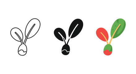 Radish seedling illustration set