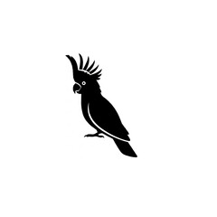 Fototapeta premium Elegant Black Cockatoo Silhouette Graphic Design