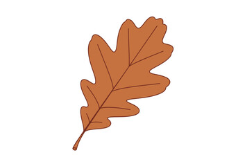 Fototapeta premium Isolated brown oak leaf with visible veins on a white background