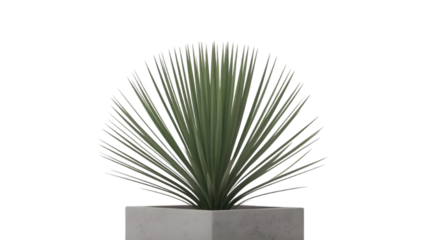 Geometric Yucca in Minimalist Planter: A solitary yucca plant, a symbol of resilience, thrives in a geometric planter, a perfect blend of natural beauty and contemporary design.