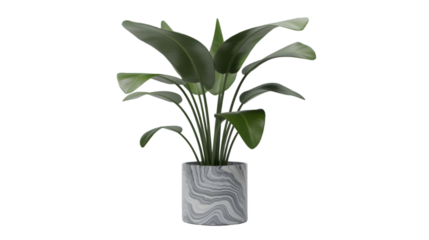 Elegant Plant in Stone Pot: A lush, green plant thrives in a stylish stone pot, exuding a sense of tranquility and natural beauty. This image evokes feelings of serenity and a connection to nature.