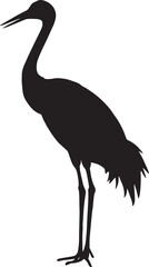 Fototapeta premium Silhouette of a tall bird standing elegantly isolated on a transparent background