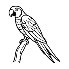 Red and blue macaw parrot pet isolated on white background vector illustration